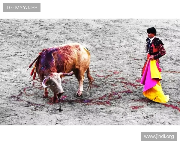 真人斗牛网址推荐确保您安全畅玩真人斗牛游戏体验更真实的在线真人斗牛网址大全让您尽享真人斗牛娱乐的最佳网址推荐。